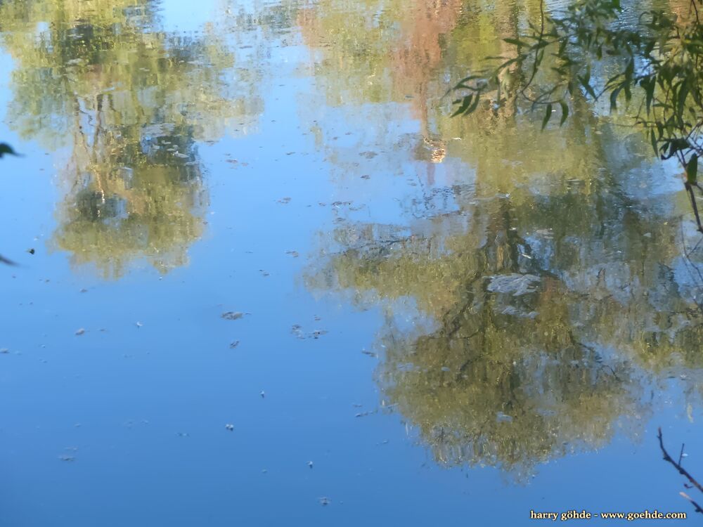 Seeblick mit Bäumen