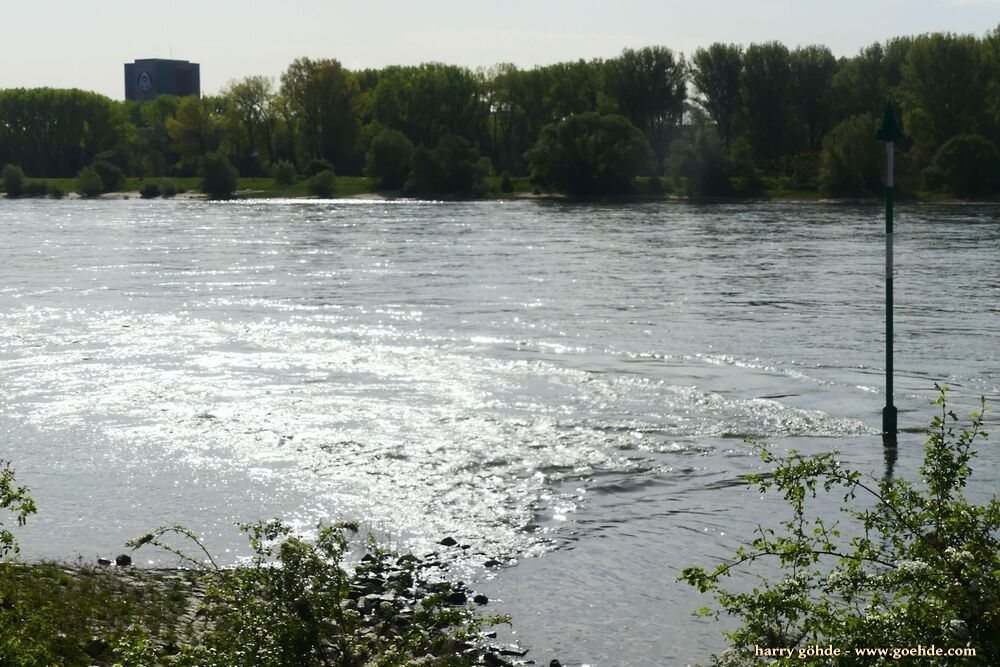 Wellen und Sonnenreflexe im Rhein