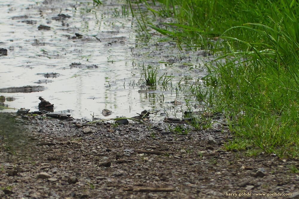 Hochwasser