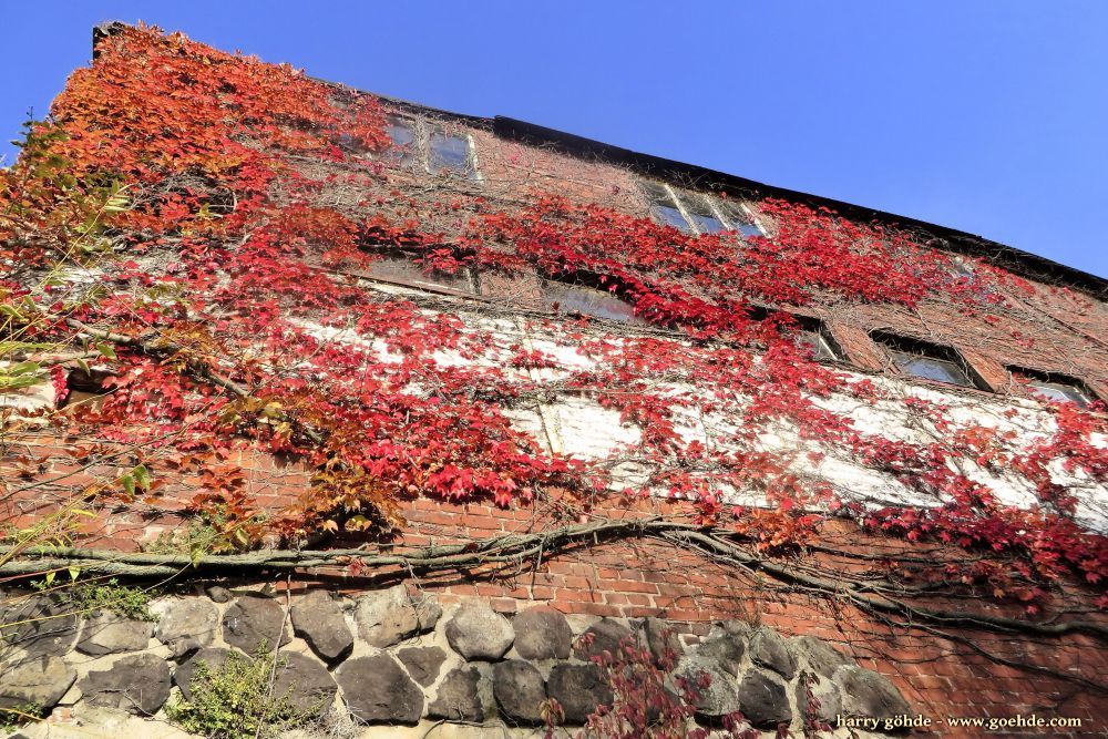 Herbstlaub